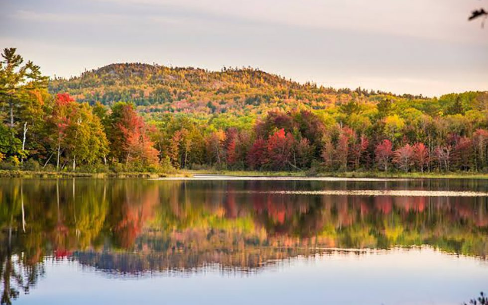 Harlow Lake Area - Lake in Marquette Michigan