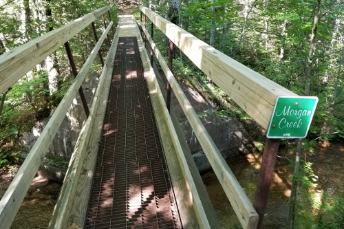 Morgan Creek Loop - South Trails